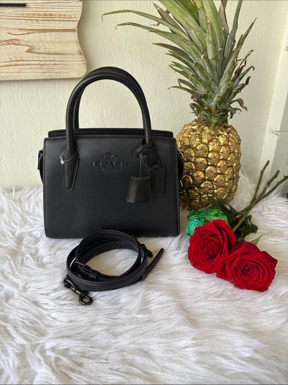 Coach Mini Andrea